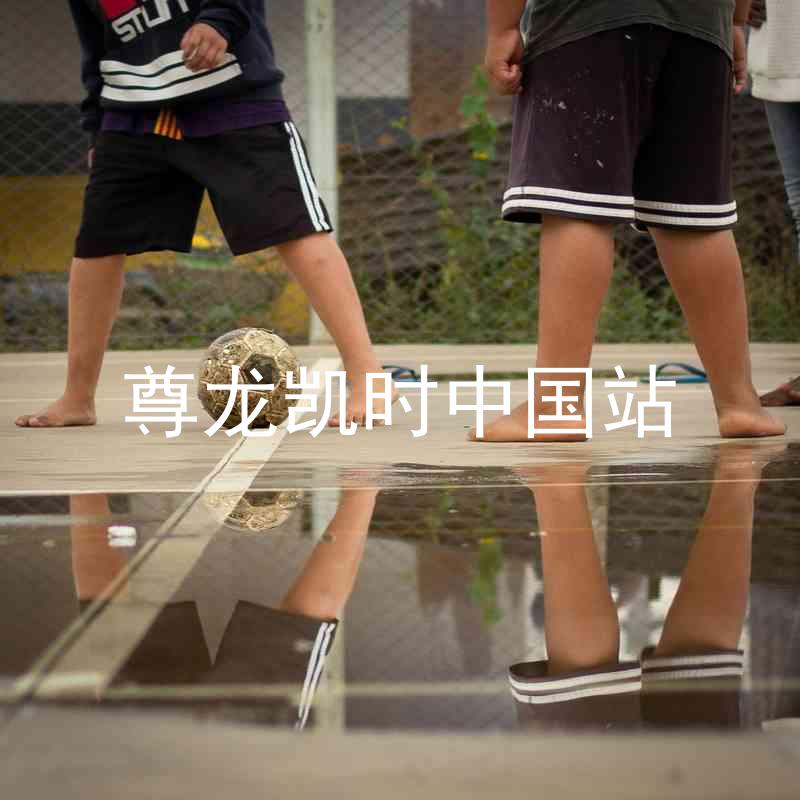 尊龙凯时中国站